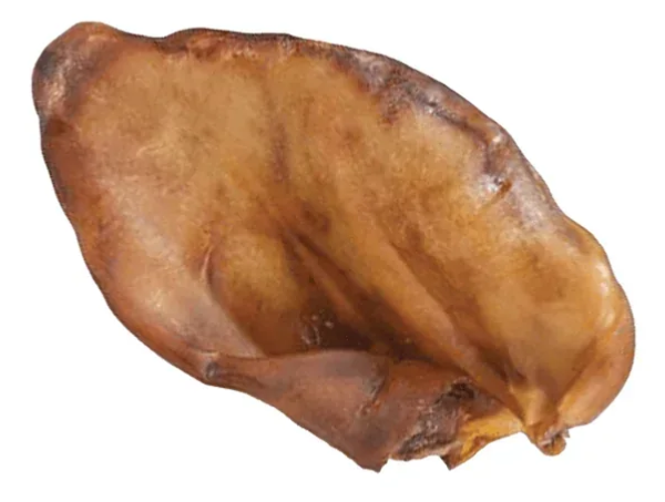 OREILLE DE COCHON